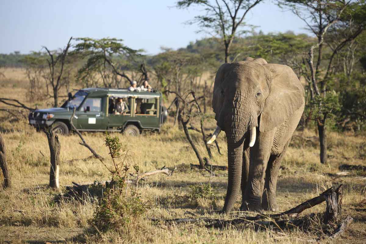 Explore & Travel Africa - Masai Mara Walking Safari - Kicheche Valley Camp