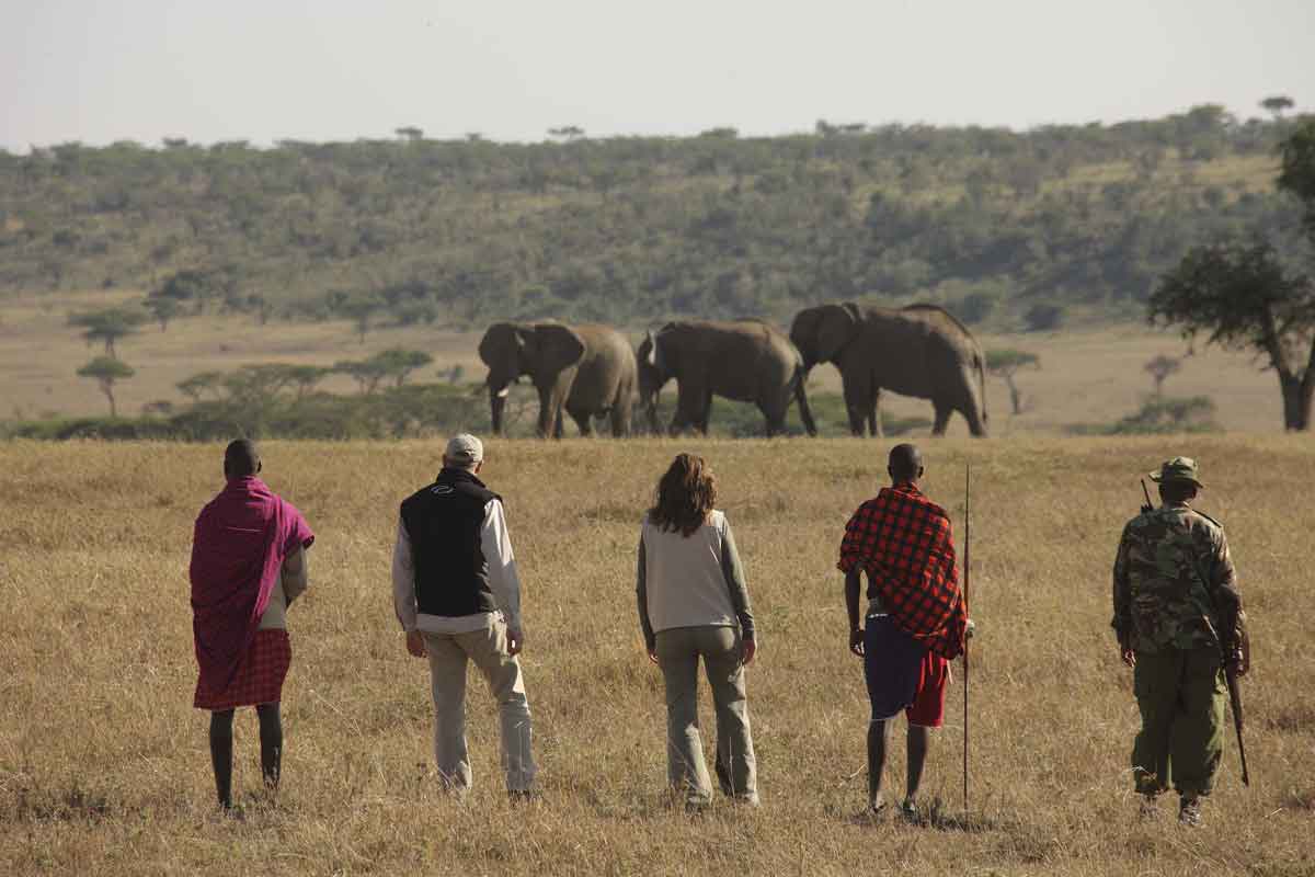 Explore & Travel Africa - Masai Mara Walking Safari - Kicheche fly camp 