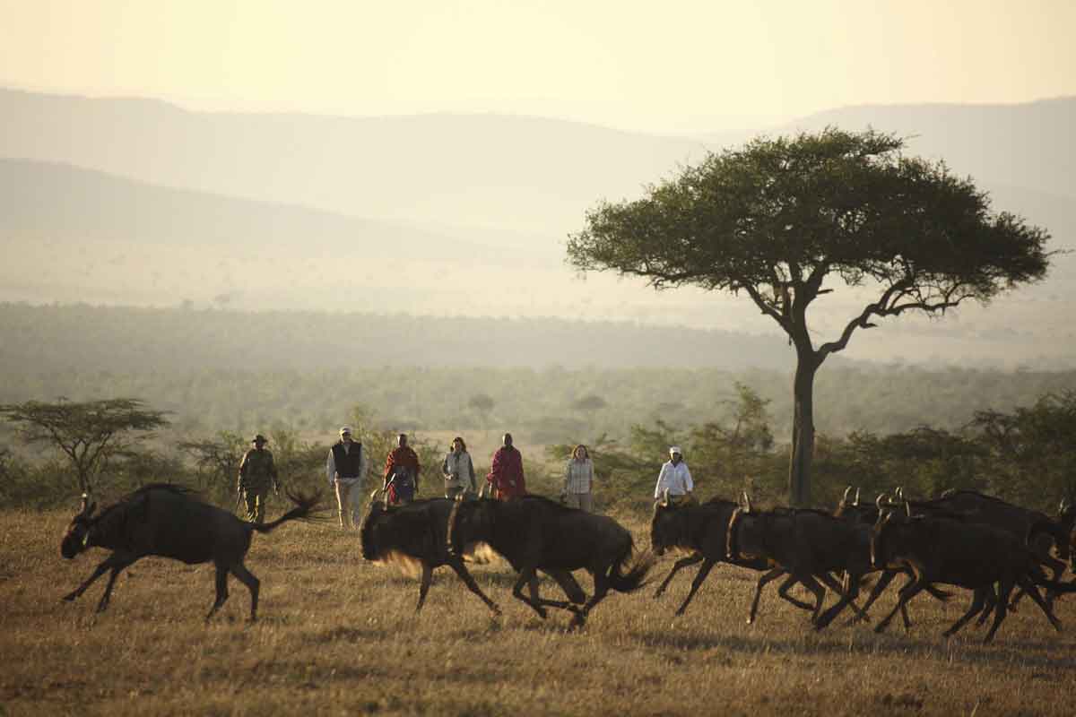 Explore & Travel Africa - Masai Mara Walking Safari - Kicheche fly camp 