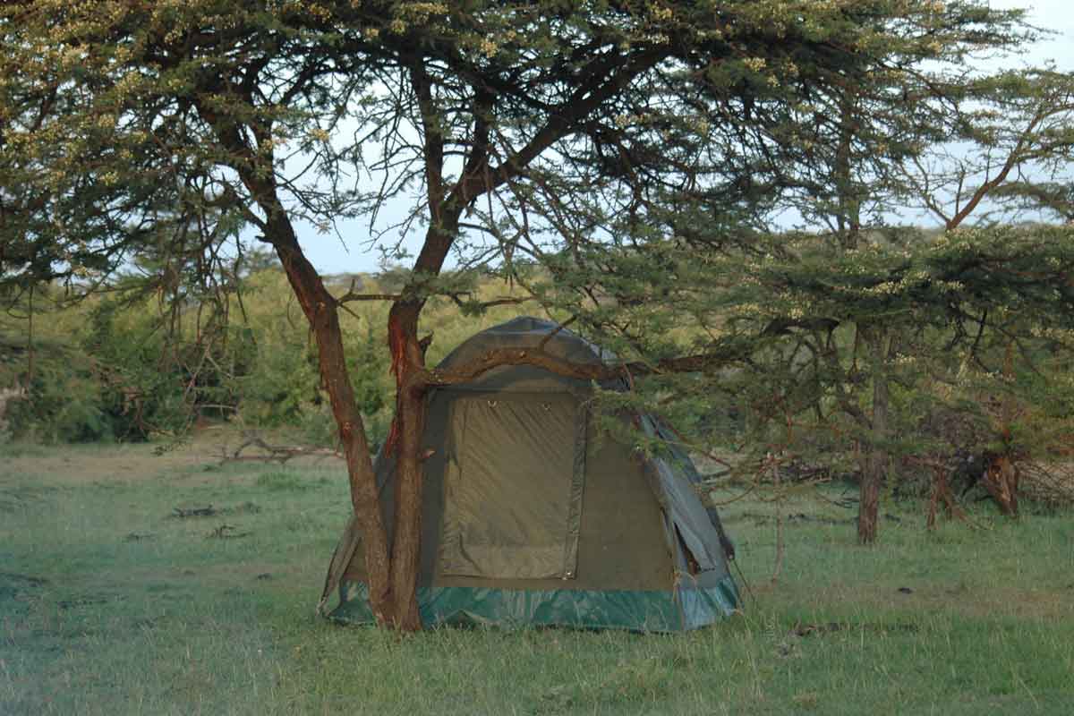 Explore & Travel Africa - Masai Mara Walking Safari - Kicheche fly camp 
