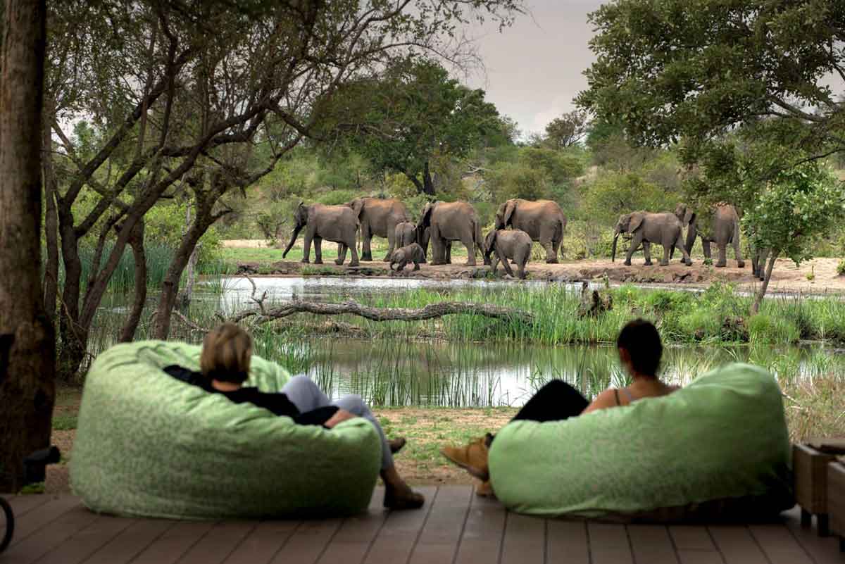 Explore & Travel Africa-Vic Falls Cape Town Kruger Park Safari-Tanda Tula