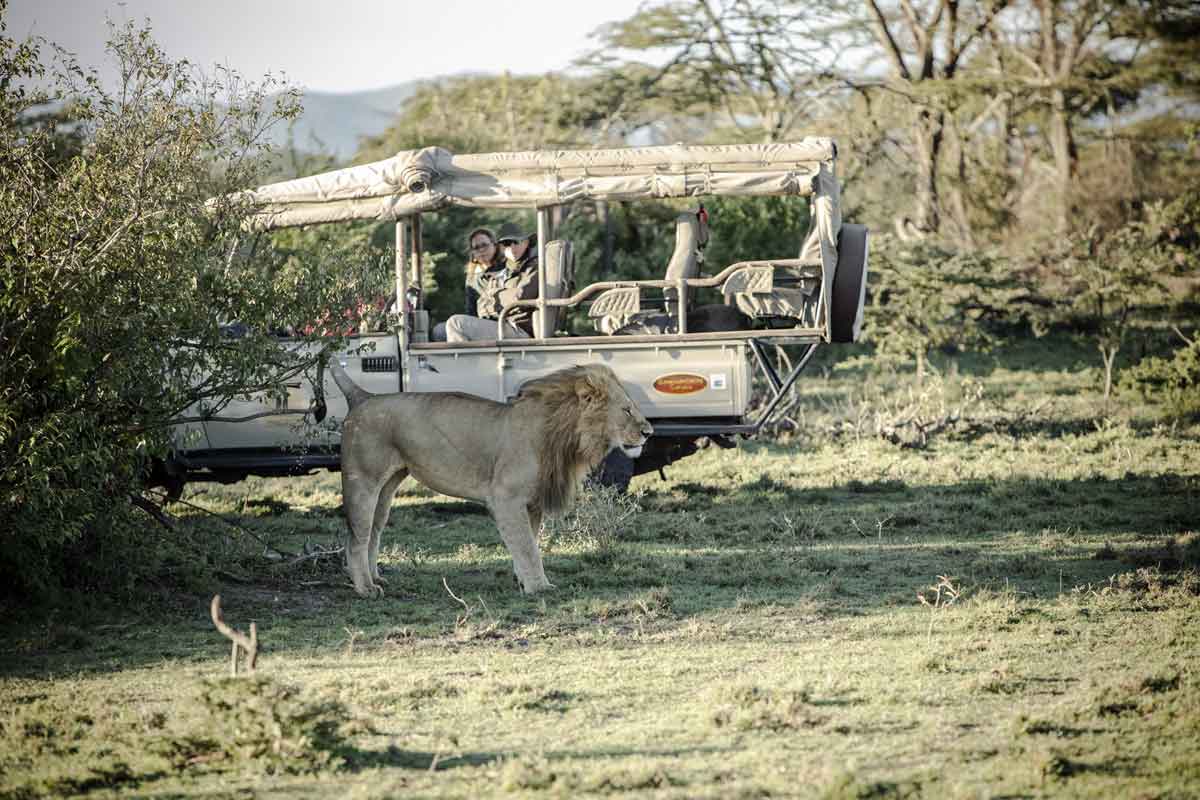 Explore and Travel Africa - Highlights of Kenya Safari Porini Lion camp