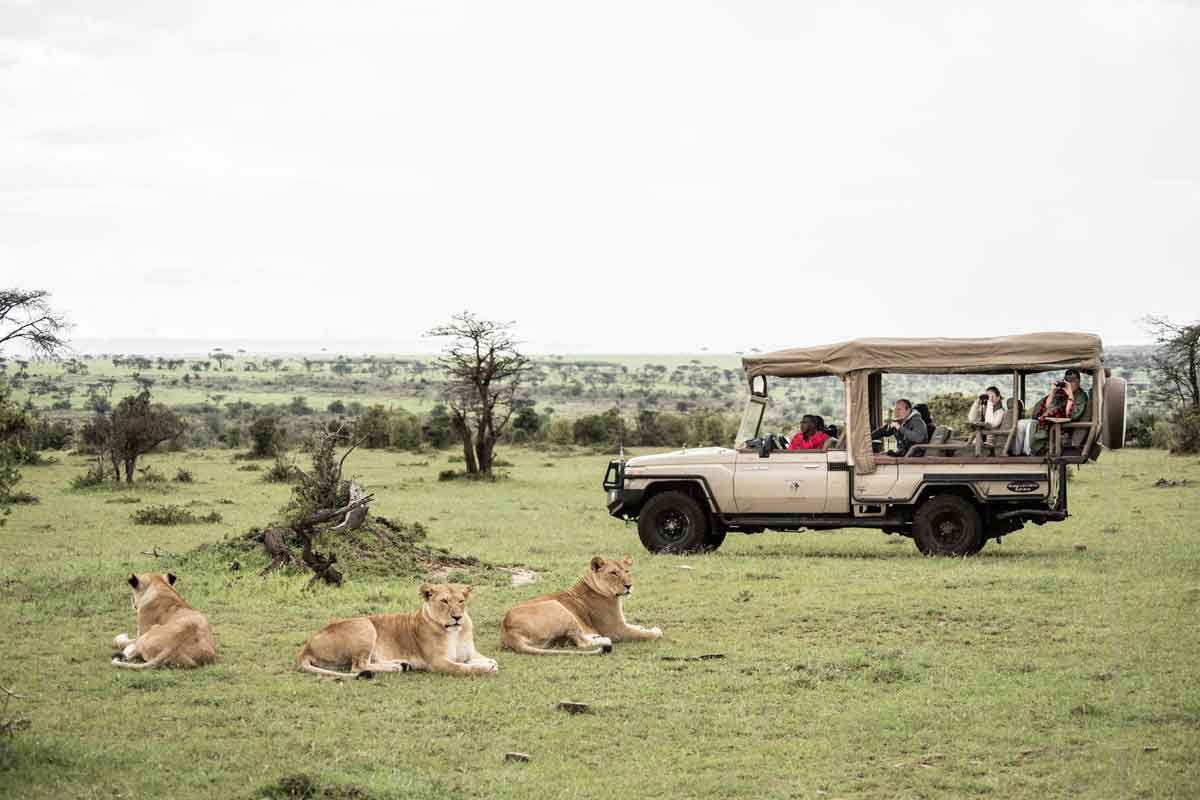 Explore and Travel Africa - Highlights of Kenya Safari Porini Lion Camp