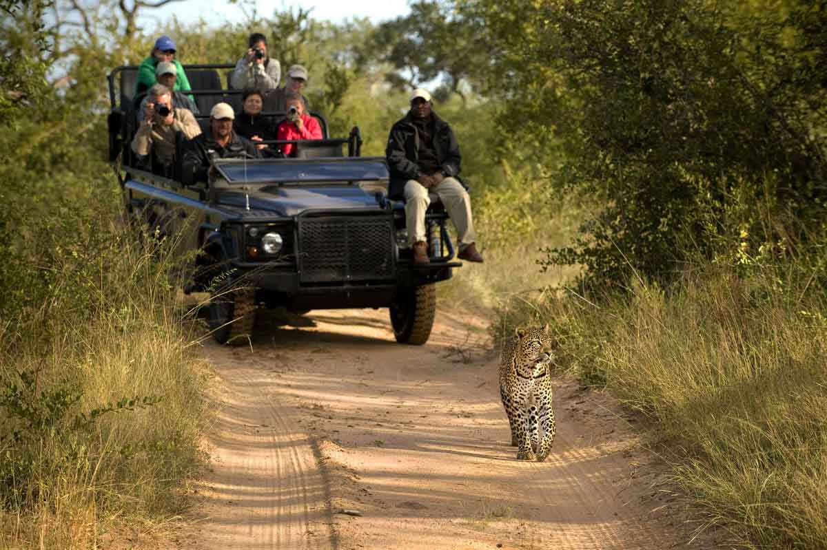 Cape Town Lion Sands Safari Lion Sands ivory Lodge