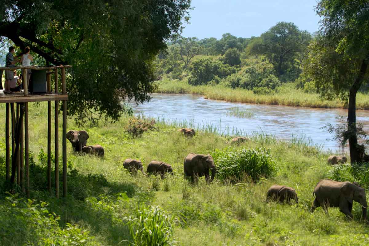 Cape Town Lion Sands Safari Lion Sands Narina Lodge