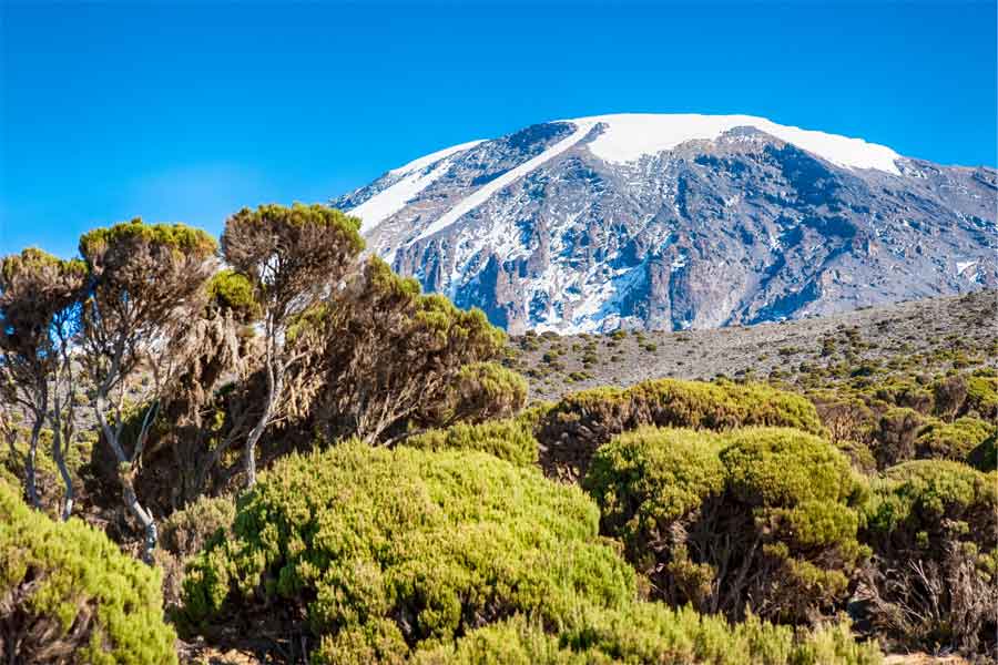 Tanzania Safaris Mount Kilimanjaro