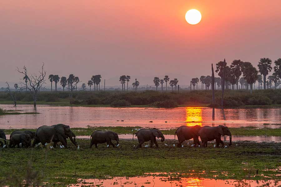 Tanzania-Safaris-Nyerere-Selous