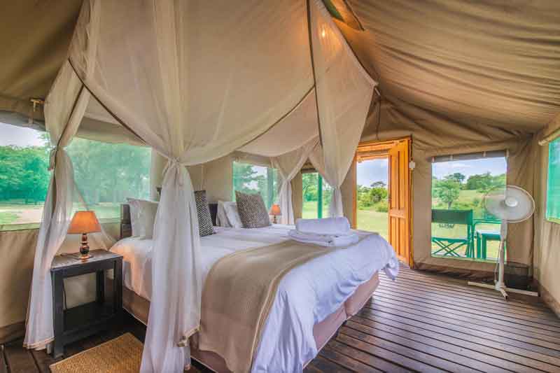 Top Timbavati Safari Lodges-Shindzela-Tented Camp