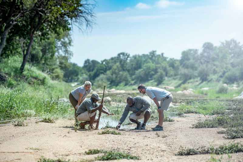 Top Timbavati Safari Lodges-Simbavati-Trails-Camp