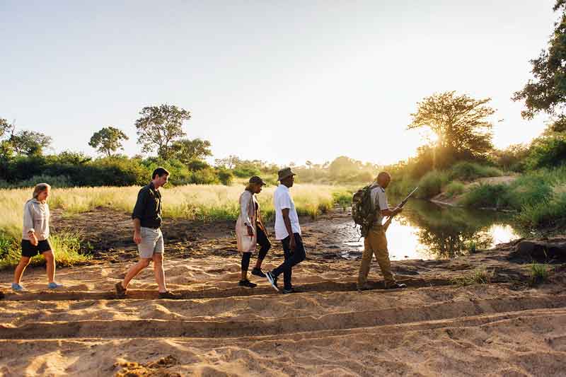 Top Timbavati Safari Lodges-Tanda-Tula-Field-Camp