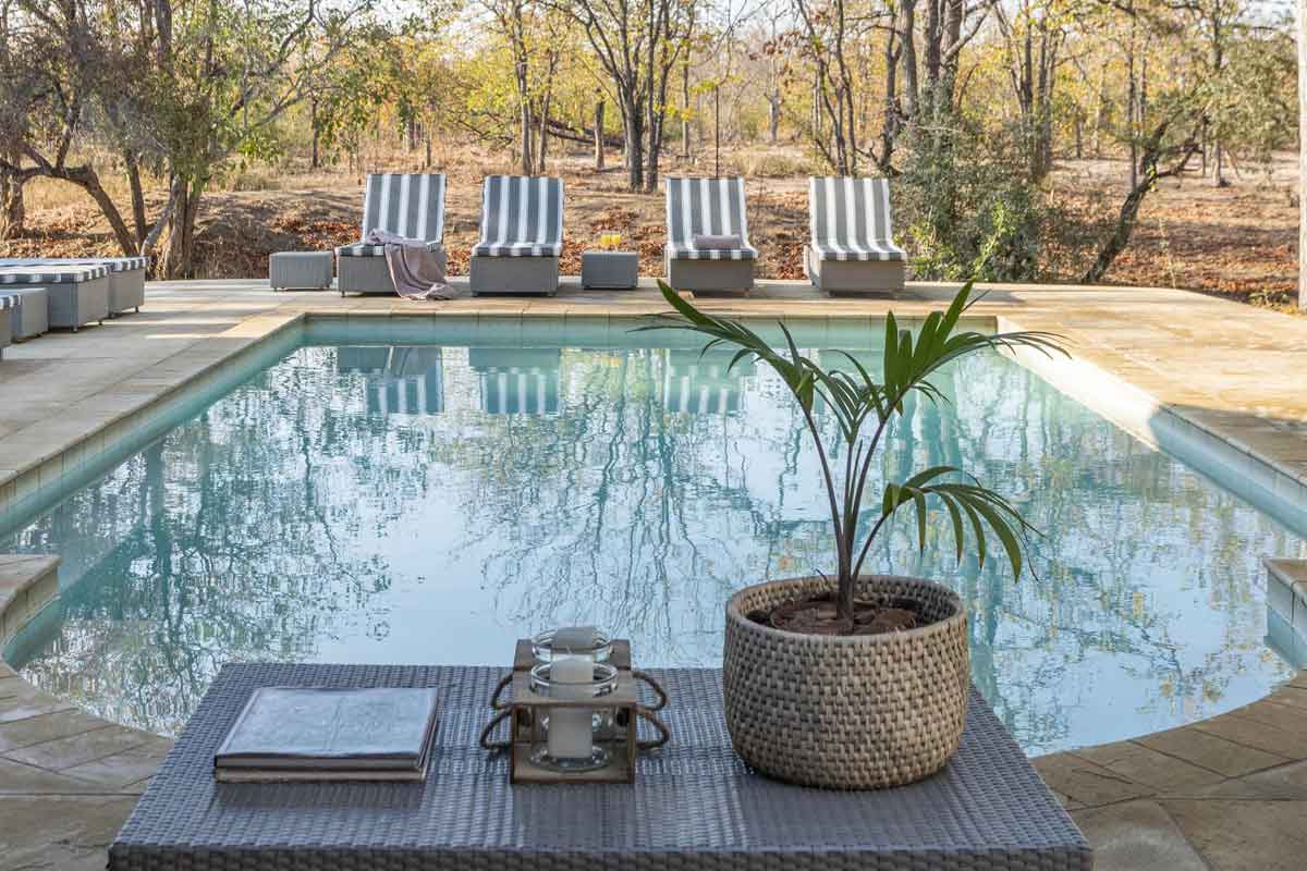 Affordable Kruger Park Safari - Xanatseni Private Camp