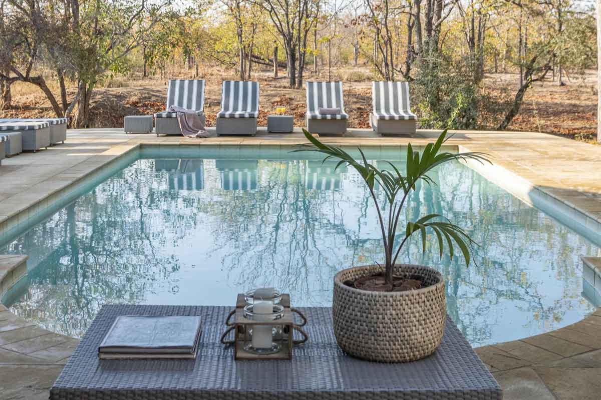 Affordable Kruger Park Safari - Xanatseni Private Camp 