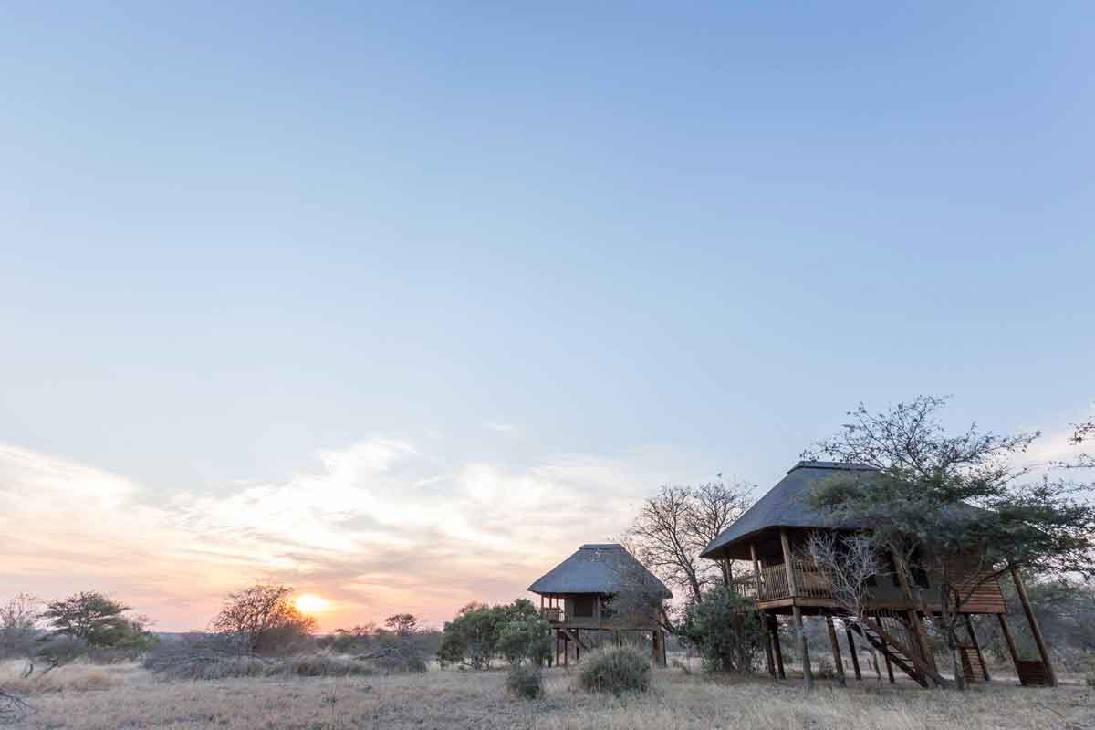 Authentic Kruger Safari nThambo Tree Camp (