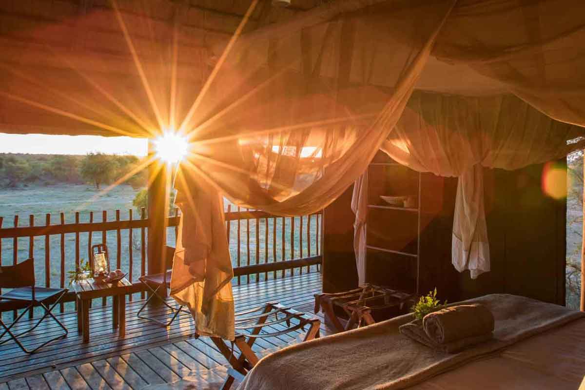 Authentic Kruger Safari nThambo Tree Camp (