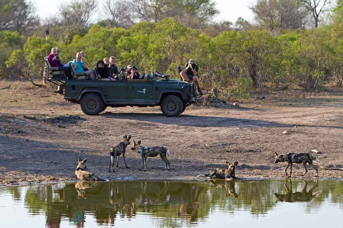 Authentic Kruger Safari nThambo Tree Camp (