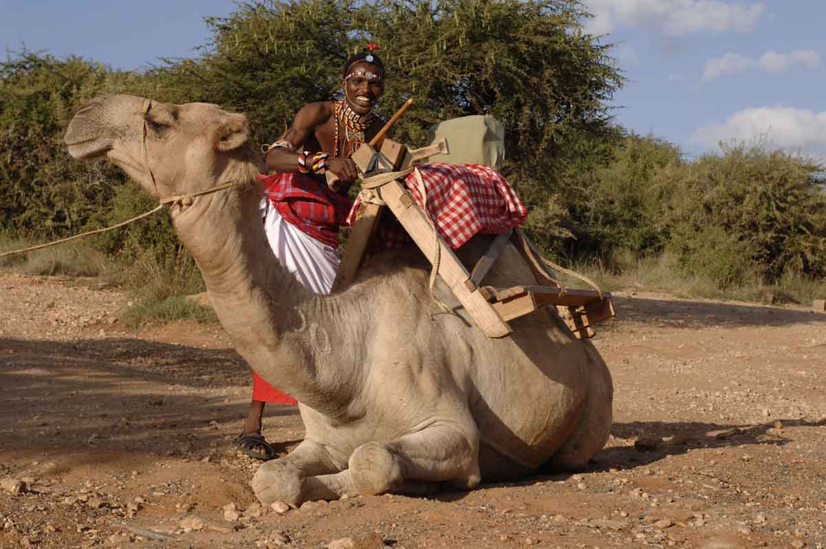 Camel Safari Kenya