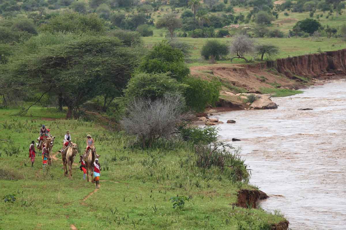 Camel Safari Kenya