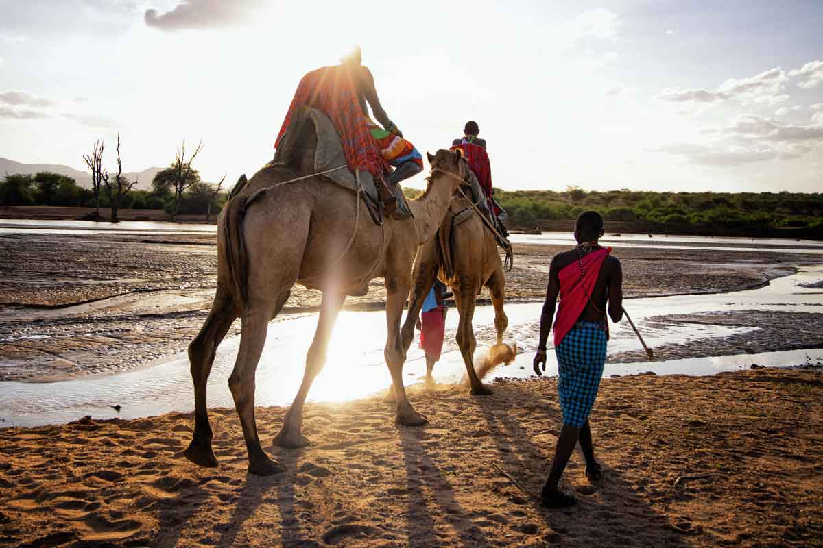 Camel Safari Kenya