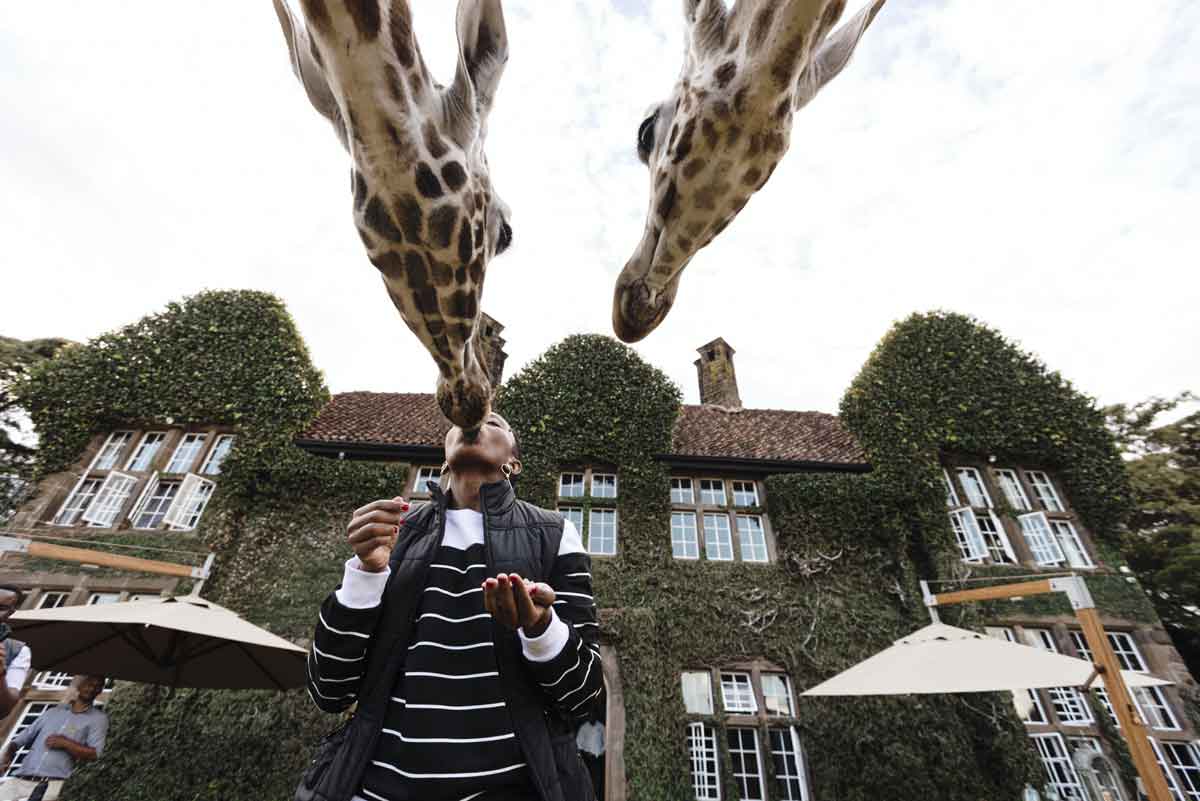 Giraffe Manor