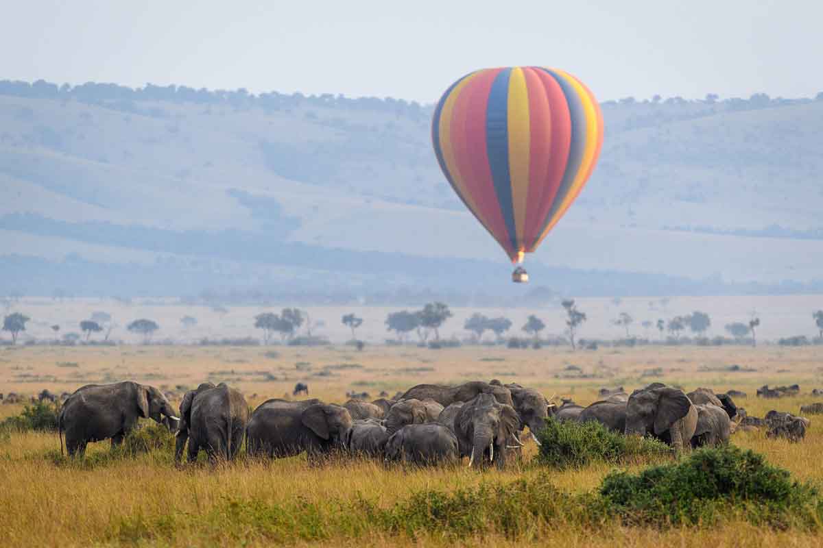 Hot Air Balloon Safari