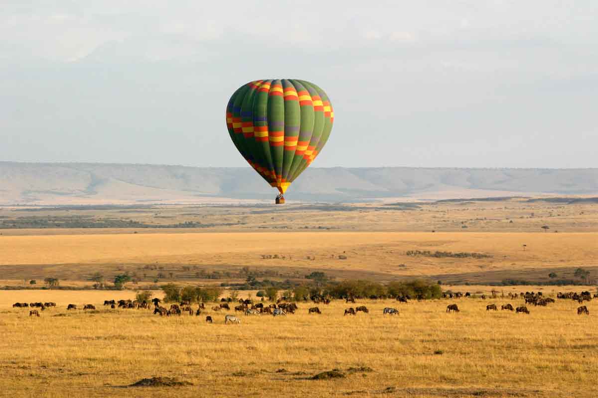 Hot Air Balloon Safari