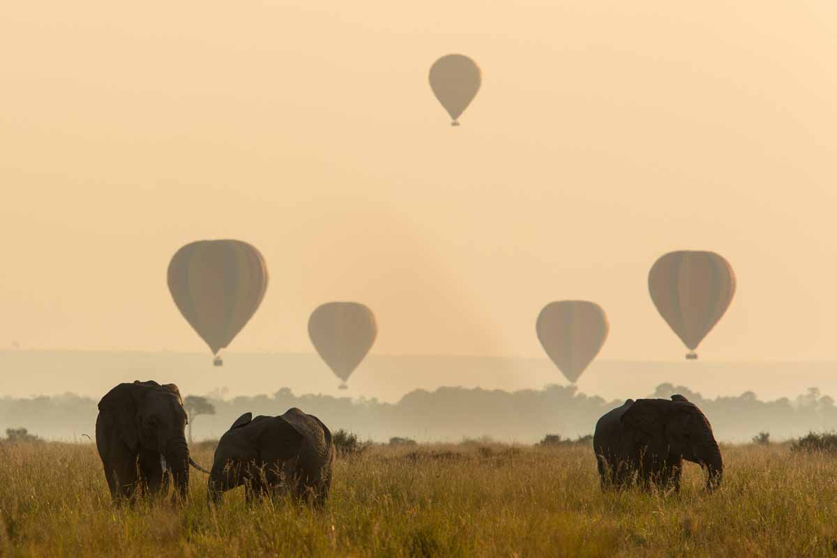 Hot Air Balloon Safari