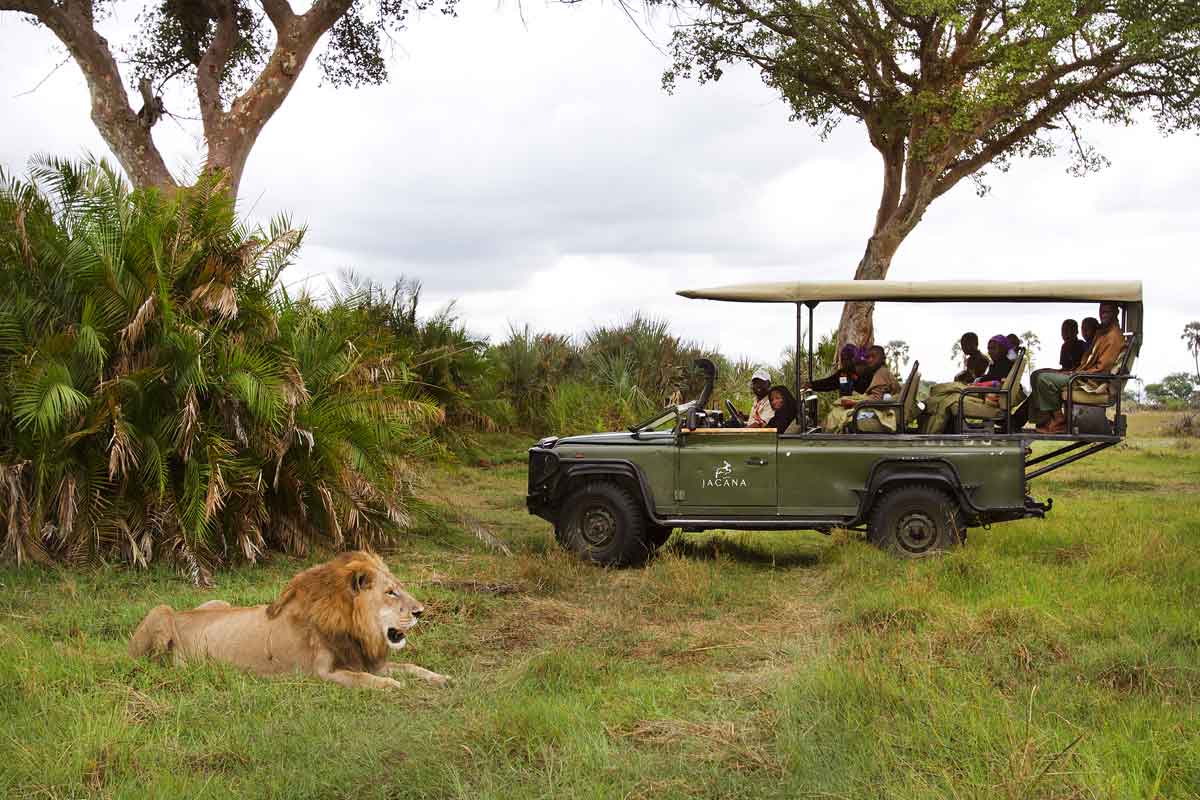 Victoria Falls to Botswana Luxury Safari