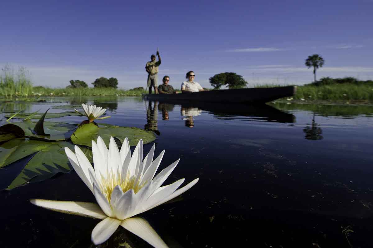 Victoria Falls to Botswana Luxury Safari