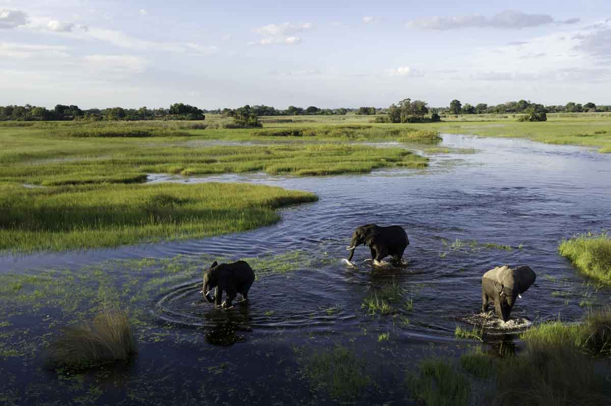 Victoria Falls to Botswana Luxury Safari