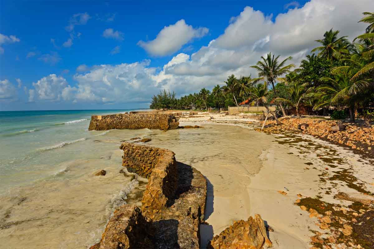 Kenyan Coast 