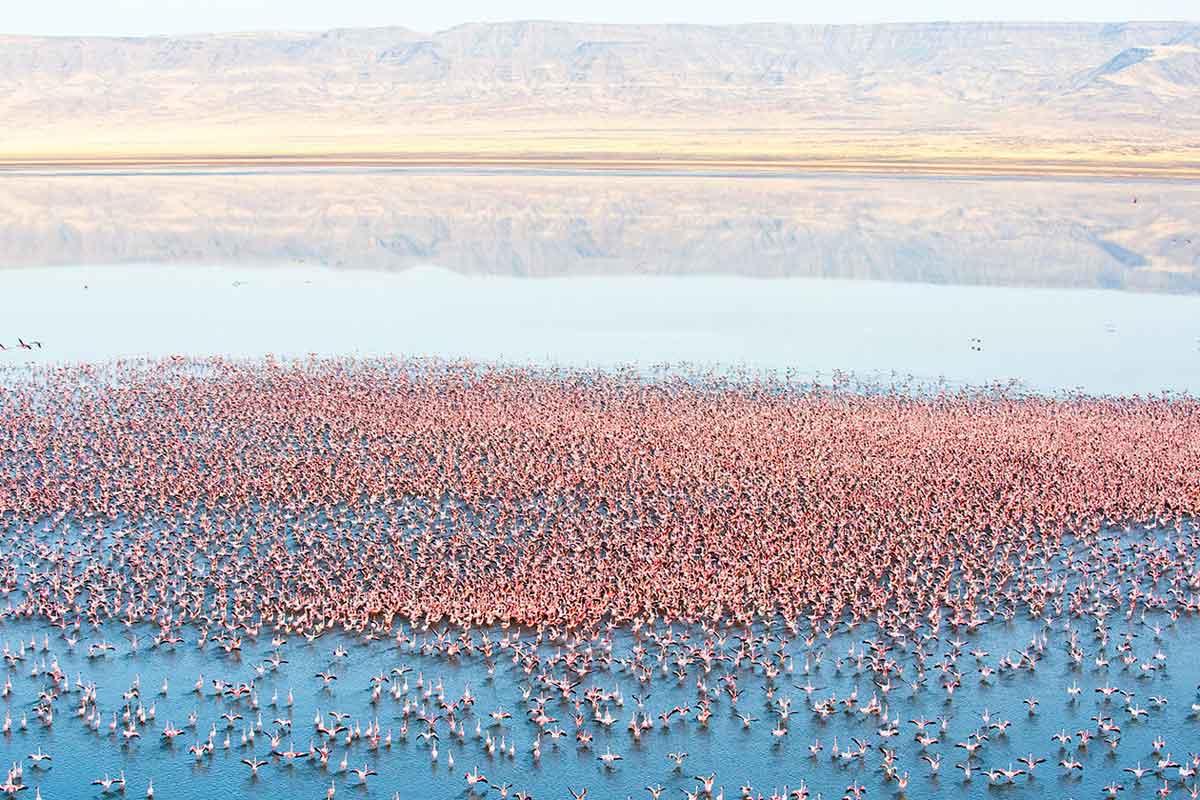 Lake Turkana Helicopter Safari 