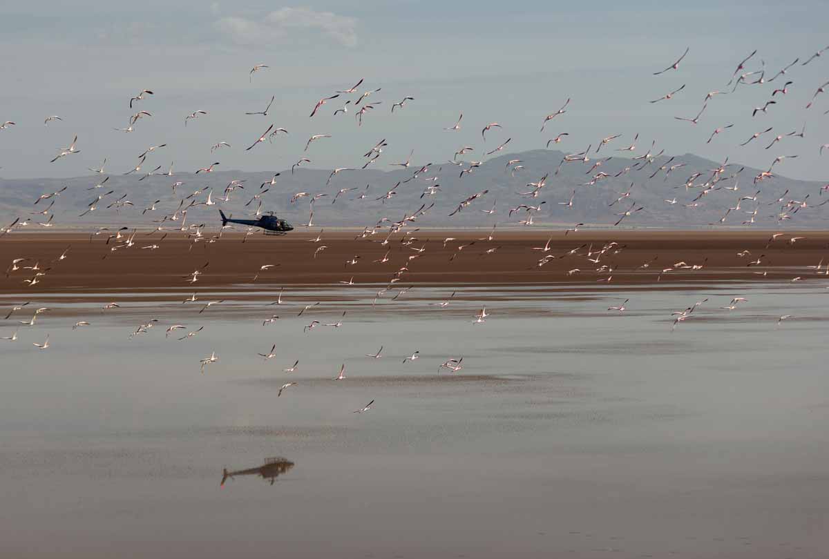 Lake Turkana Helicopter Safari