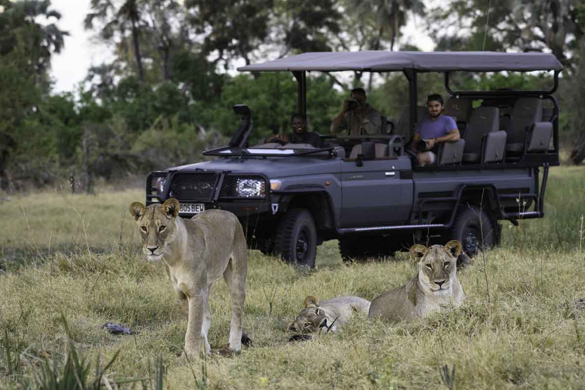 Victoria Falls to Botswana Luxury Safari