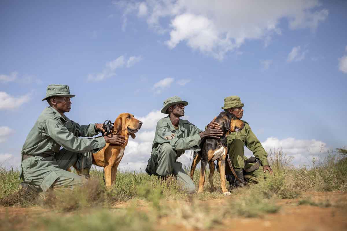 Rhino Conservation