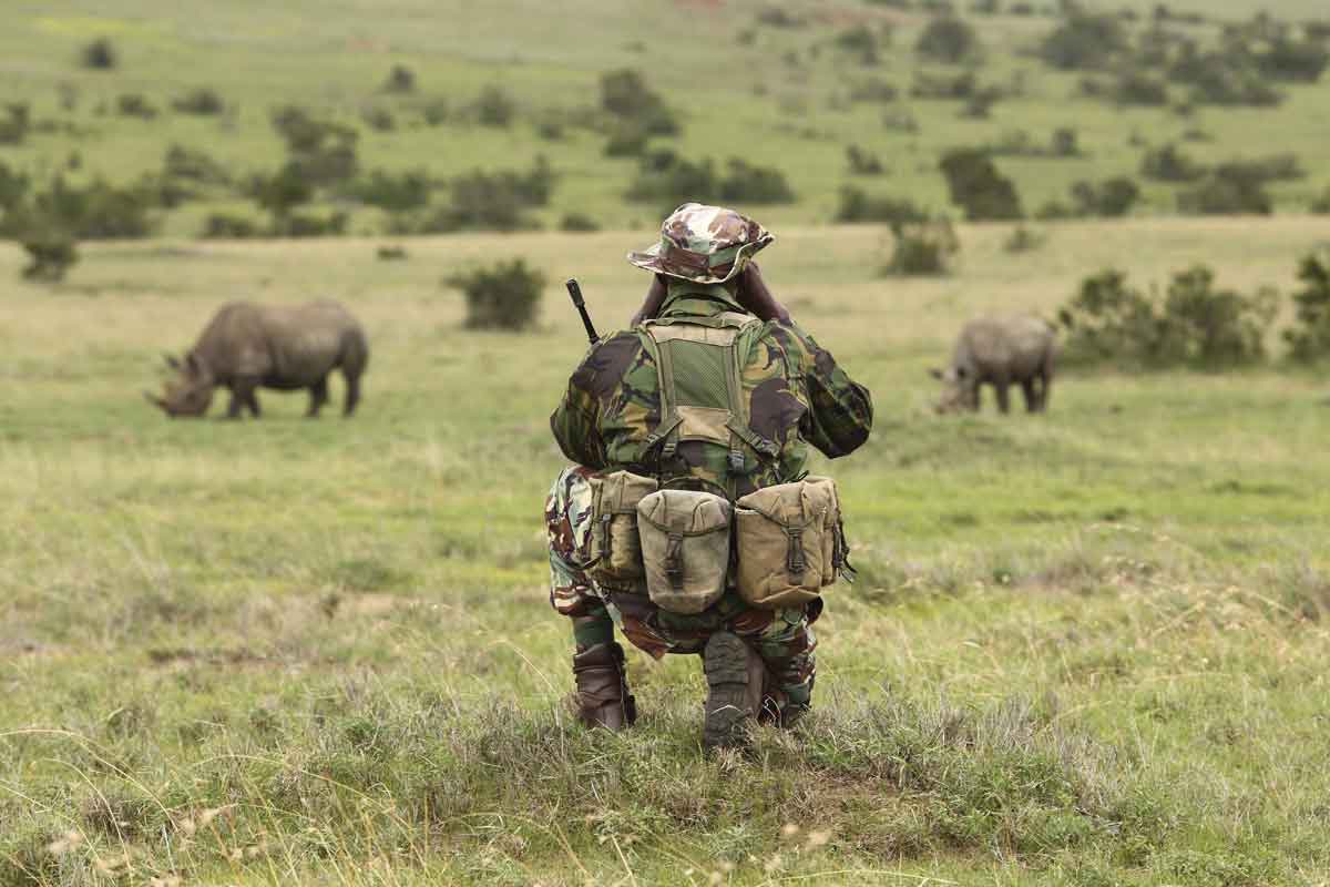 Rhino Conservation