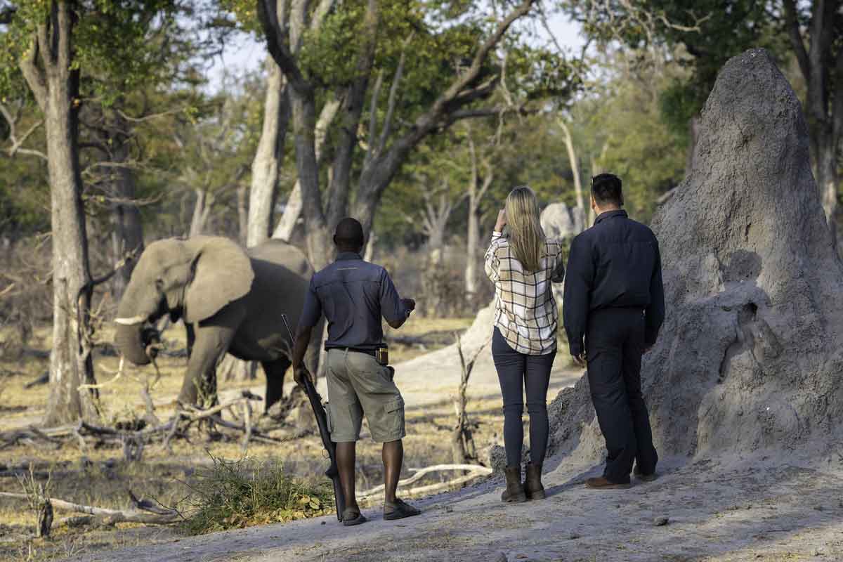 Victoria Falls to Botswana Luxury Safari