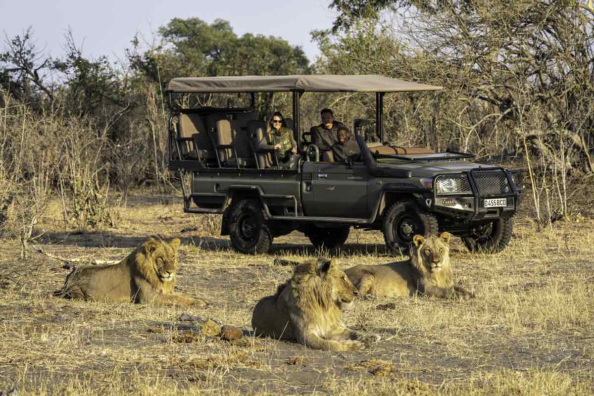 Victoria Falls to Botswana Luxury Safari