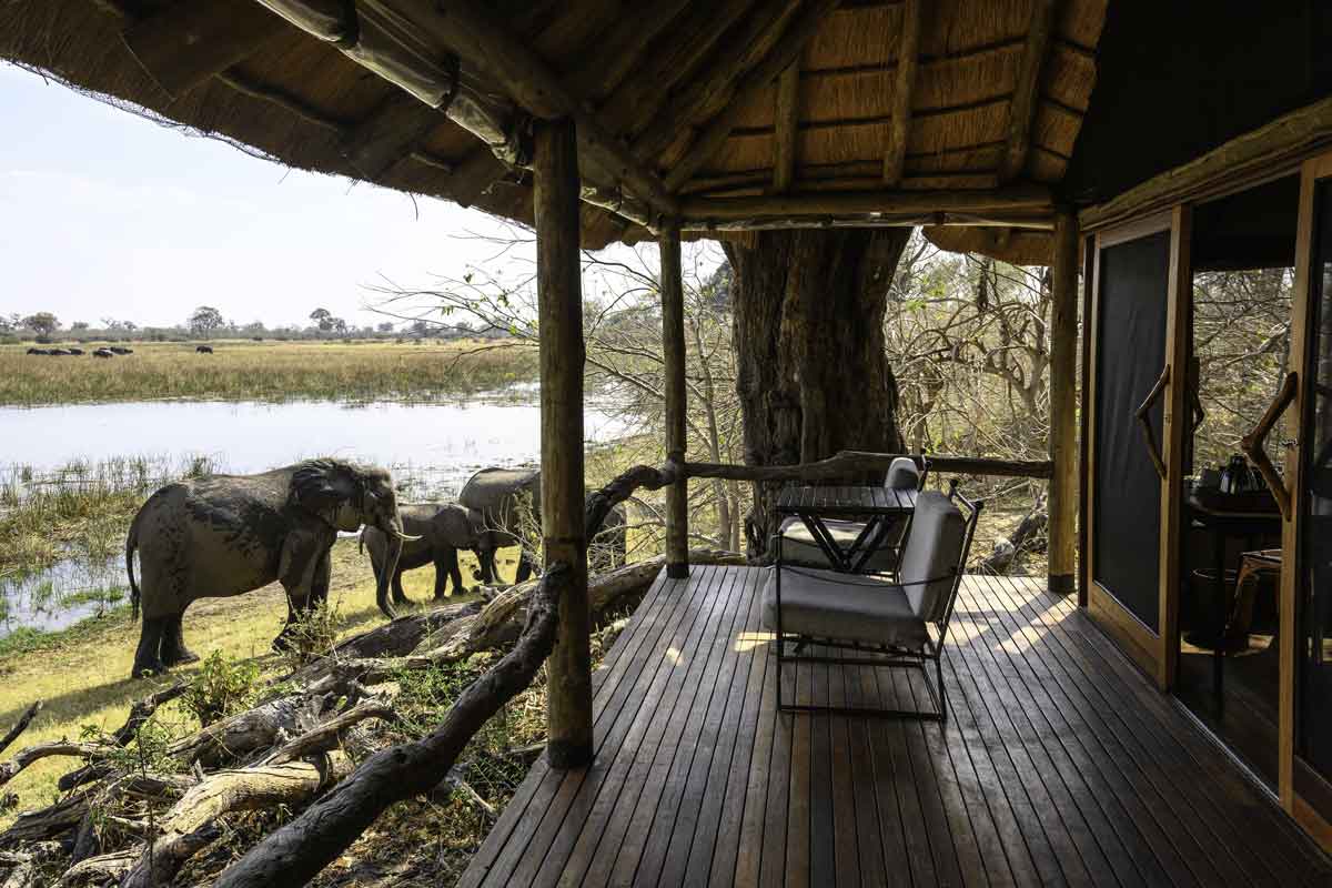 Victoria Falls to Botswana Luxury Safari