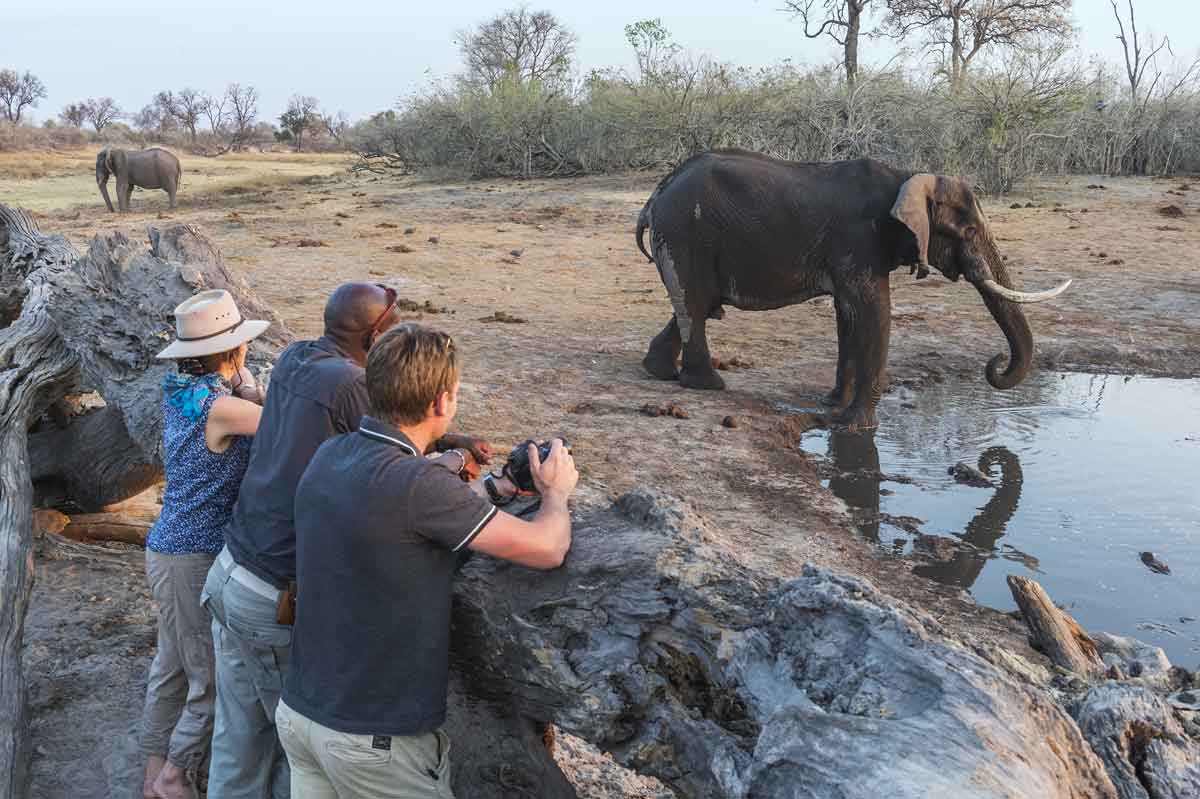 Victoria Falls to Botswana Luxury Safari