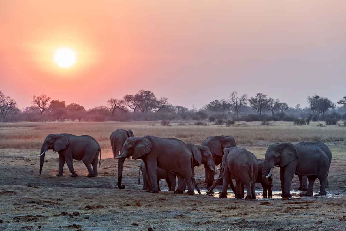 Victoria Falls to Botswana Luxury Safari