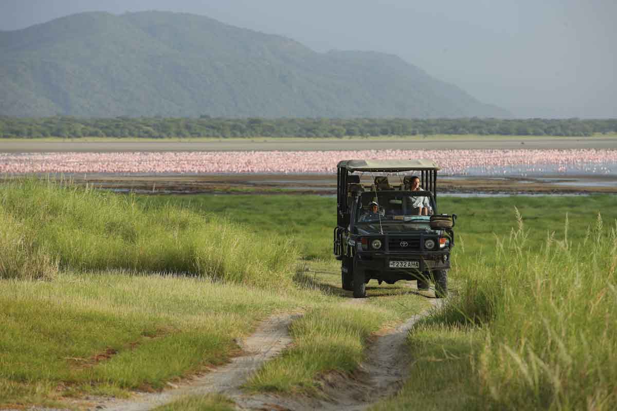 andBeyond Lake Manyara Tree Lodge