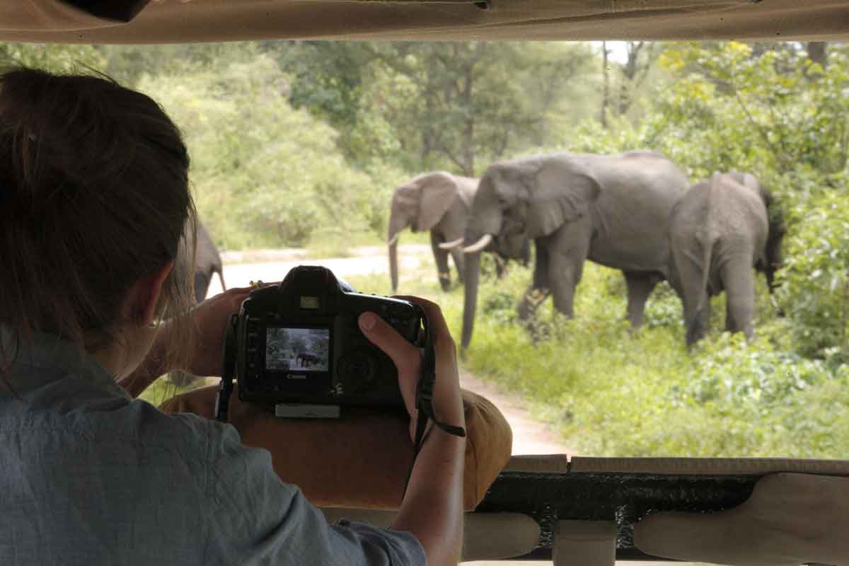 andBeyond Lake Manyara Tree Lodge