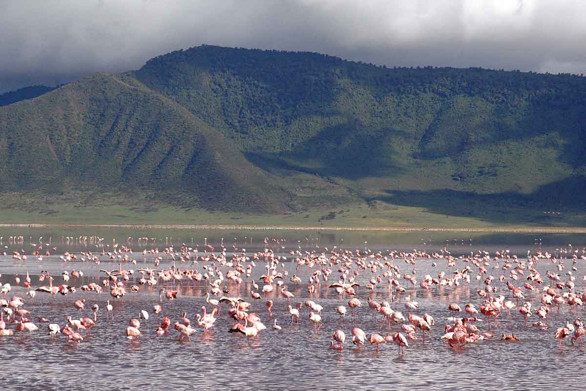 andBeyond Ngorongoro Crater Lodge