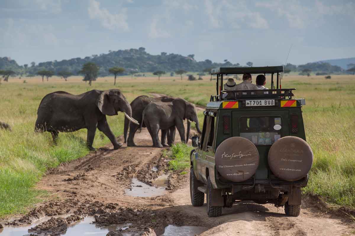 Elewana Serengeti Pioneer Camp