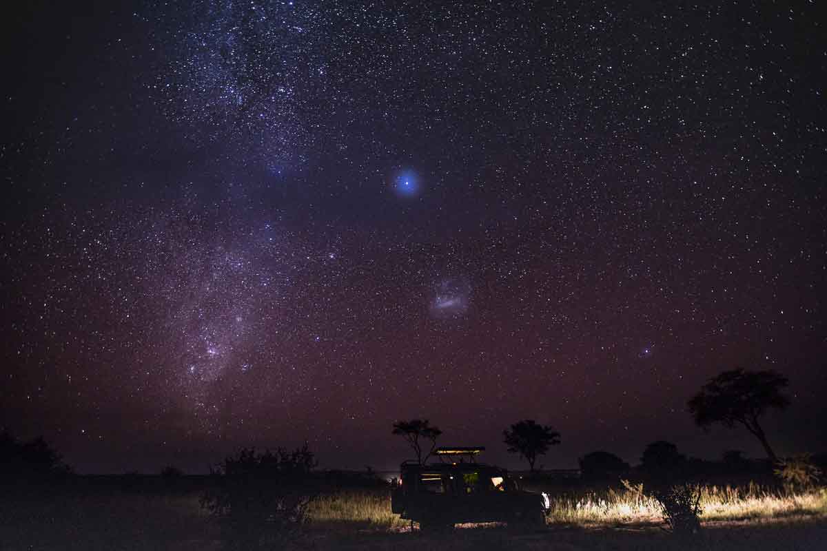 Elewana Tarangire Treetops