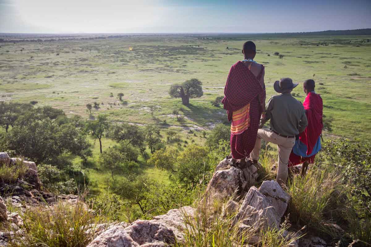 Elewana Tarangire Treetops