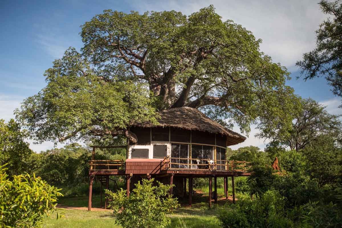 Elewana Tarangire Treetops