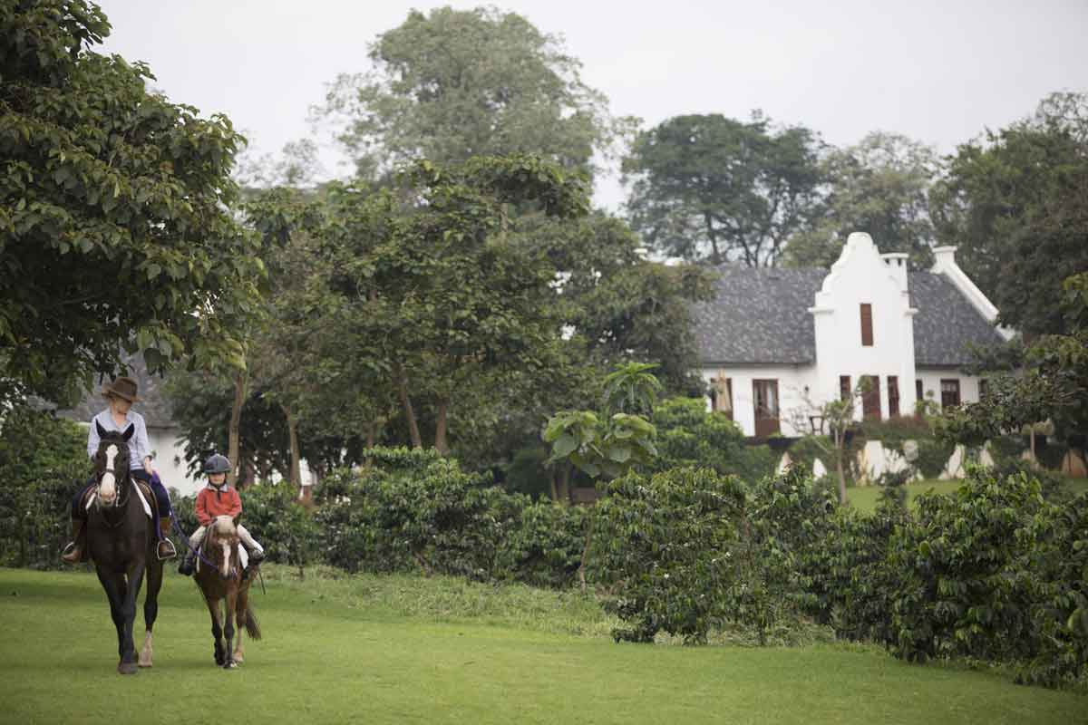 Elewana The Manor at Ngorngor