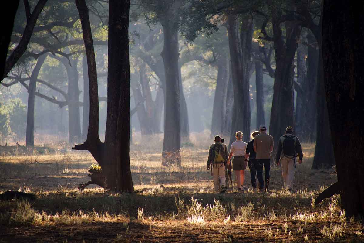 Highlights of Zambia Safari