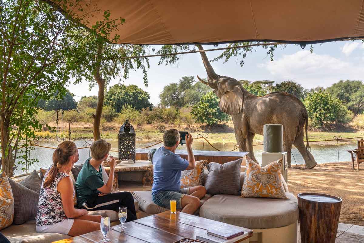 Highlights of Zambia Safari Chongwe River Camp